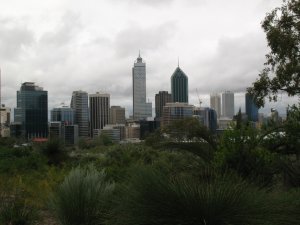 Perth skyline, from Kings Park