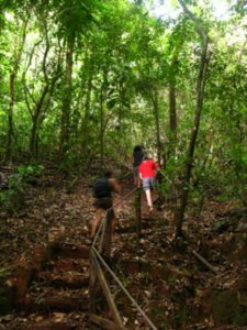 Monkey Trail, Coiba Island