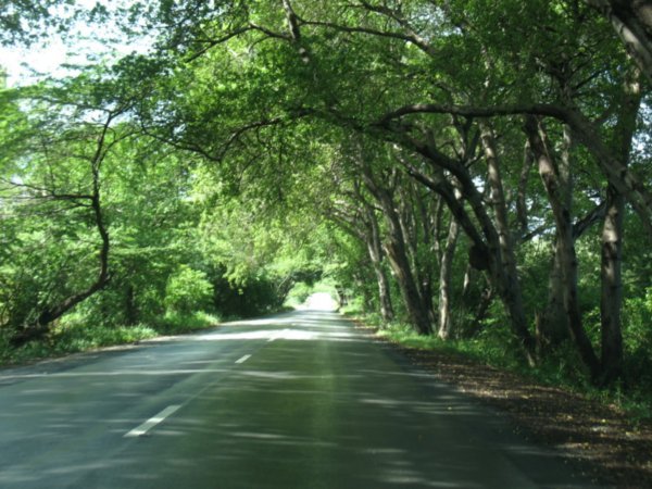 road in Banda Bou