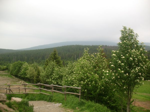 Harz national park