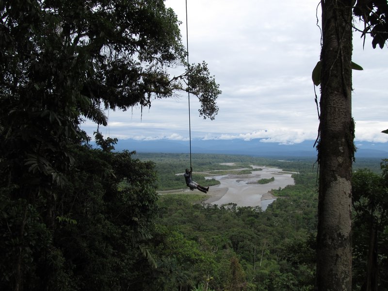 Swinging in the Amazon