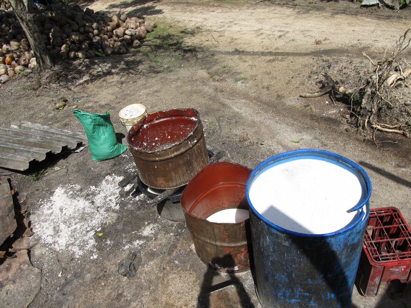 making coconut-oil in Totness, Coronie