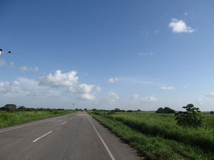 looooong drive through the flat grassplains of the Llanos in Apure state