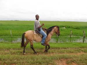 horseback riding in Llanos de Apure