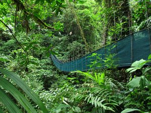hanging bridge in the jungle near La Fortuna