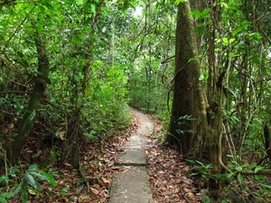 Path through Manuel Antiono national park