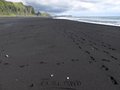 Vík í Mýrdal; black sand (basalt) beach