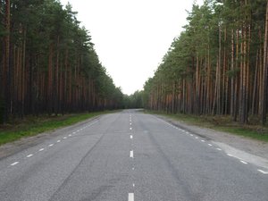 Road in Lahemaa National Park