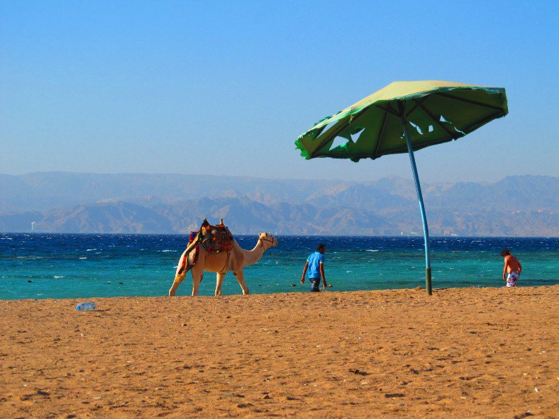 Red Sea, south of Aqaba; chilling on the beach (Egypt on the other side)