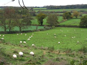 Landscape around Bosworth Battlefield