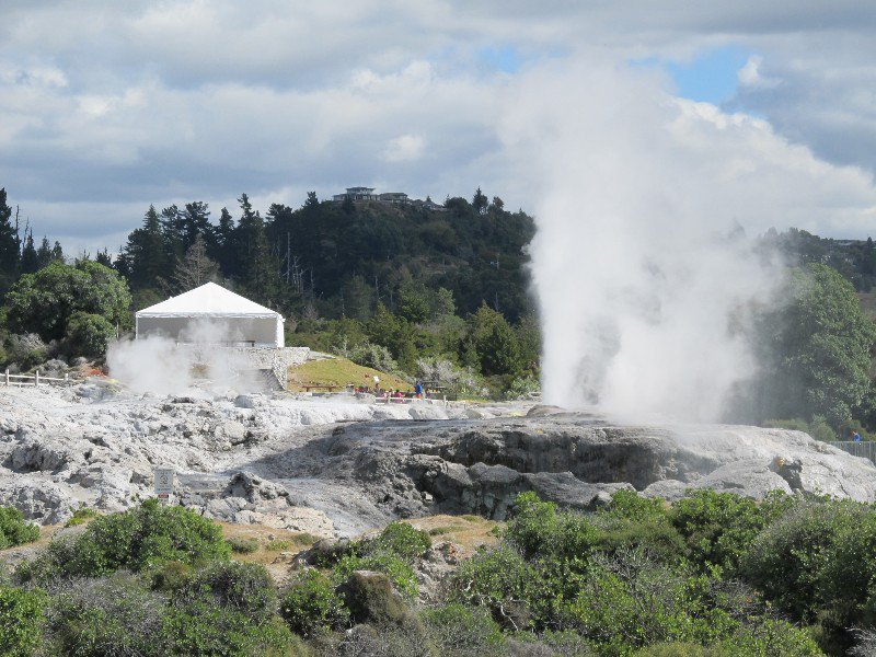 geyser in Whakarewarewa Village