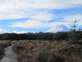 Mt. Ngaruhoe, Tongariro National Park