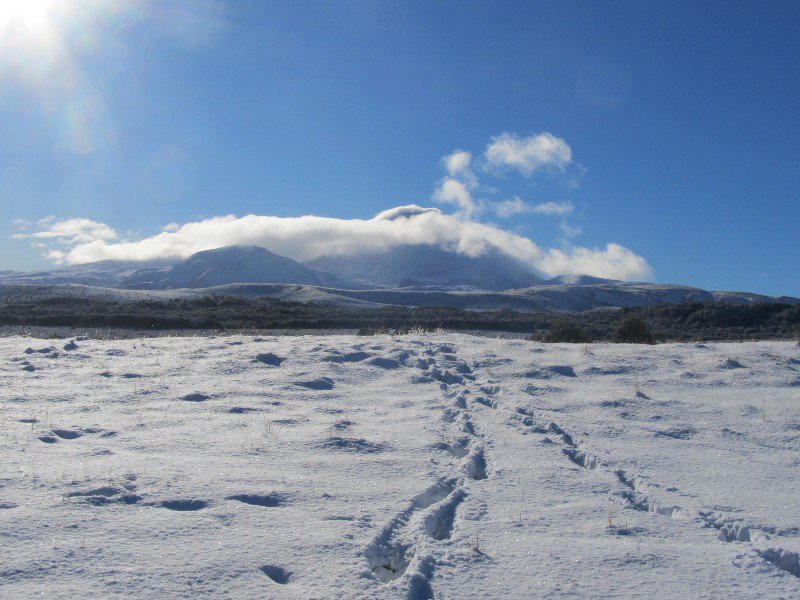 Mt. Ngaruhoe