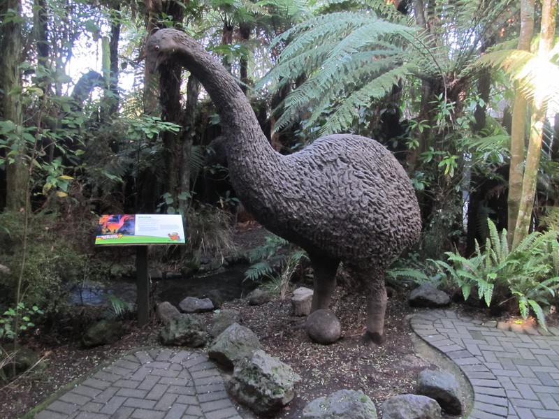 The "moa" is a giant bird, extinct for about 400 years.