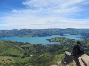View of Akaroa and its harbour from the summit of Stony Bay Peak (806m)