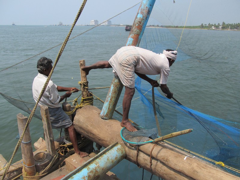 Fishermen pulling a Chinese fishing net in Kochi