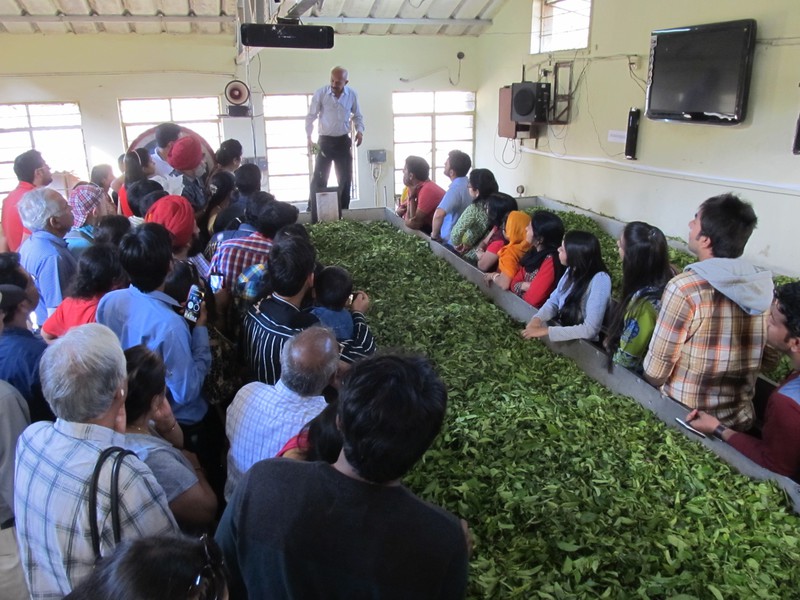 The Tea Museum in Munnar