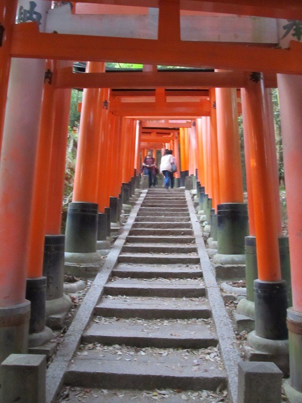 Kyoto: torii's at Fushimi-inari-taisha Shrine, up to Mt. Inari