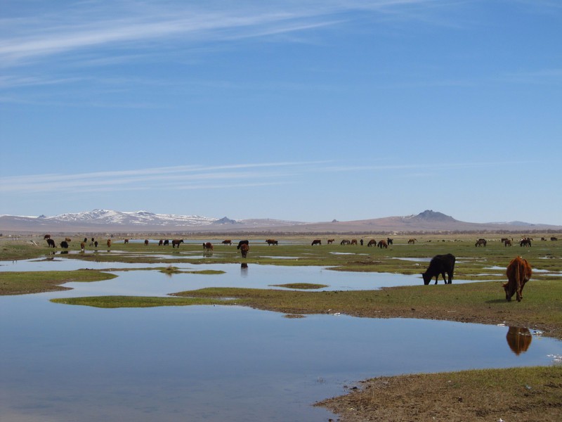 Mongolian landscape, countryside
