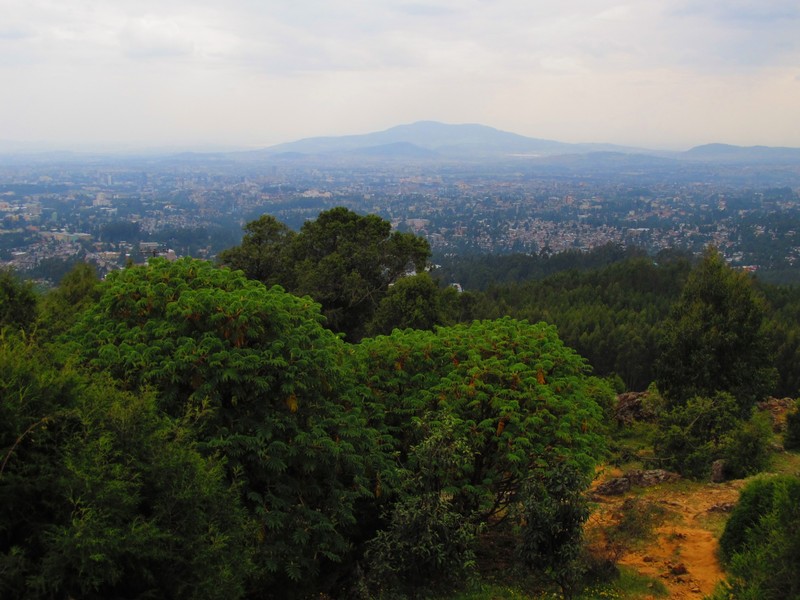View of Addis Ababa, seen from Entoto Hill