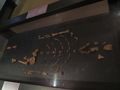 Bones of "Lucy" at the Ethiopian National Museum