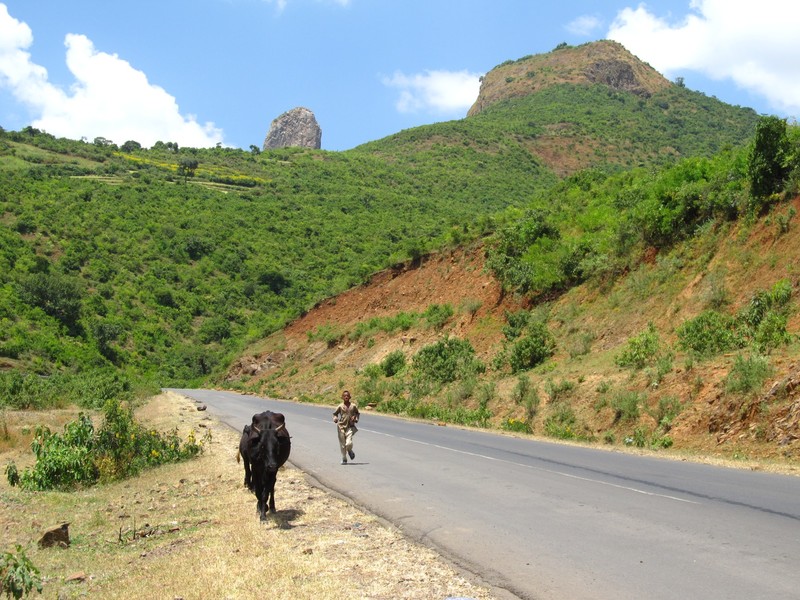On the road from Bahir Dar to Gondar