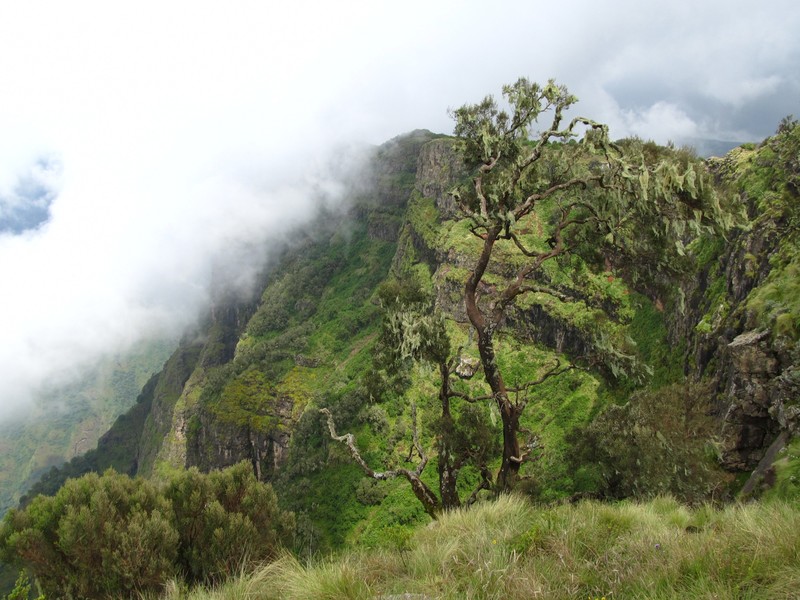 Simien Mountains National Park