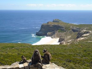 View of Cape of Good Hope, seen from Cape Point