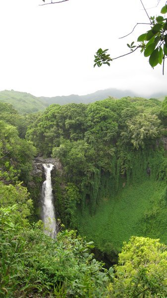 One of the many waterfalls on Pipiwai Trail