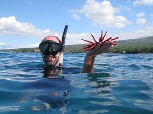 Kevin and his Slate-Pencil Sea Urchin