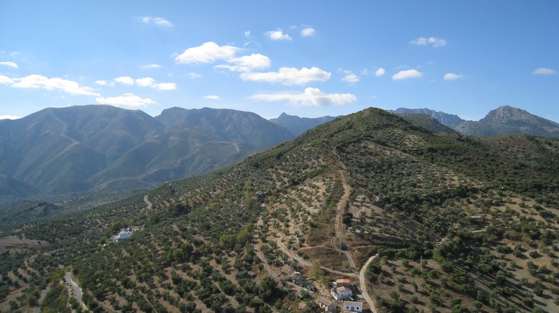 View from the other side of the castle - olive groves