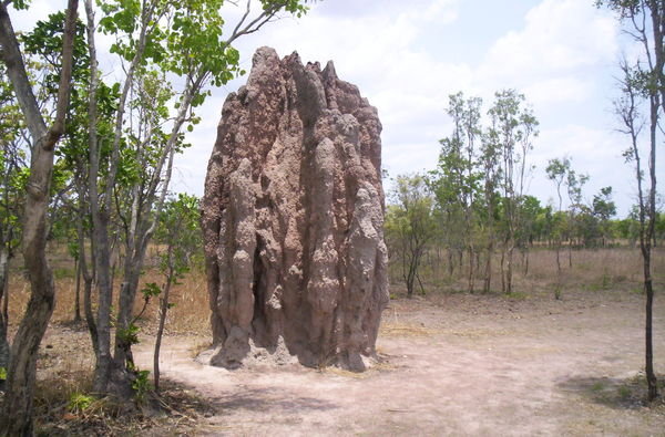 magnetic termits
