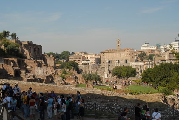 The Forum