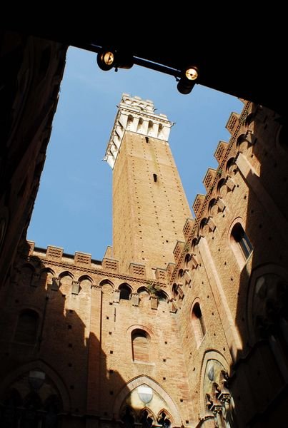 Tower in Siena