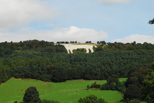 Clearer Shot of the White Horse