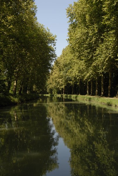 Tree Lined Canal