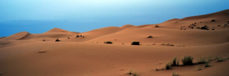 The Evening Desert