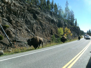 Yellowstone Sept. 2013 079