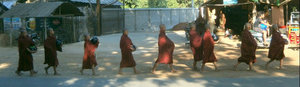 Baby Monks