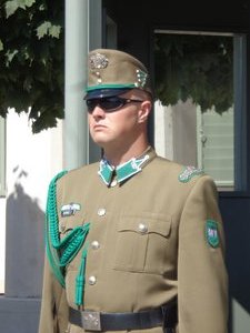 Guard Outside Govt Offices, Budapest