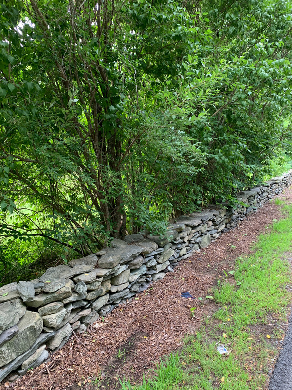 Love the old stone walls that line all the streets