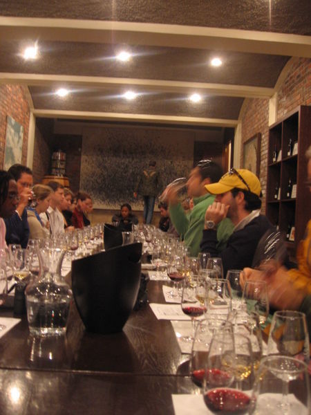 The group wine tasting experience