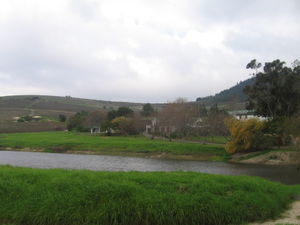 Stellensbosch winelands