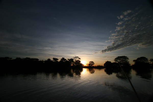 Pantanal 21