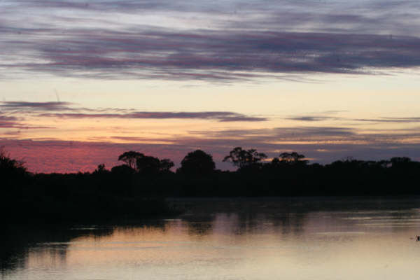 Pantanal 22