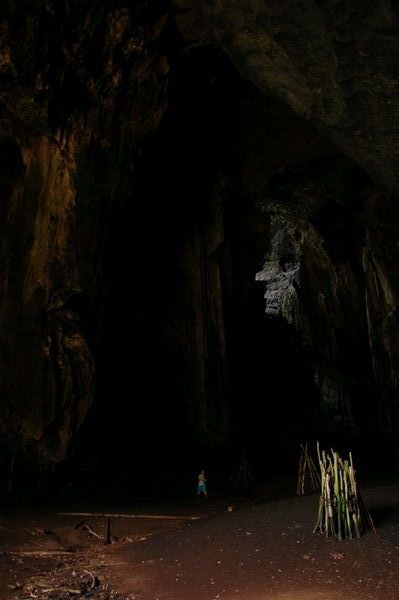 Just inside Gomantong Cave