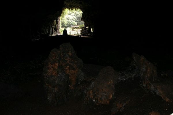 Gomantong Cave Entrance - looking out