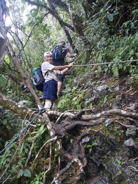 And if the rocks weren't bad enough the jungle has a go too!