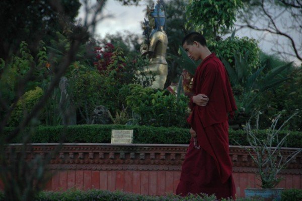Younger monks reciting their teachings