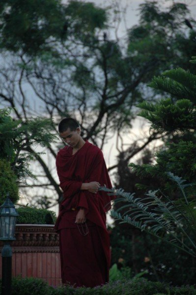Contemplative Monk